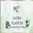 LAURA LAURA
