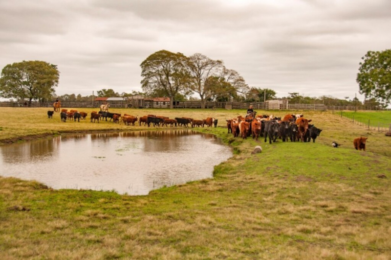 foto Not&iacute;cia Uruguaiana