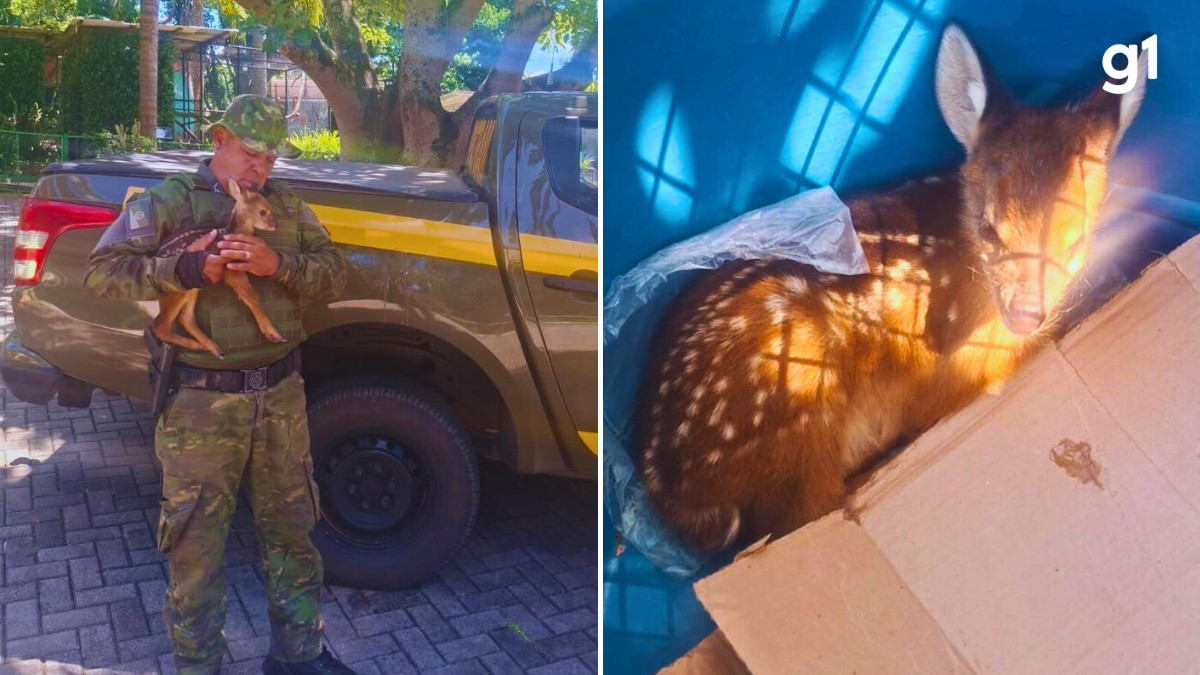 foto Not&iacute;cia Uruguaiana