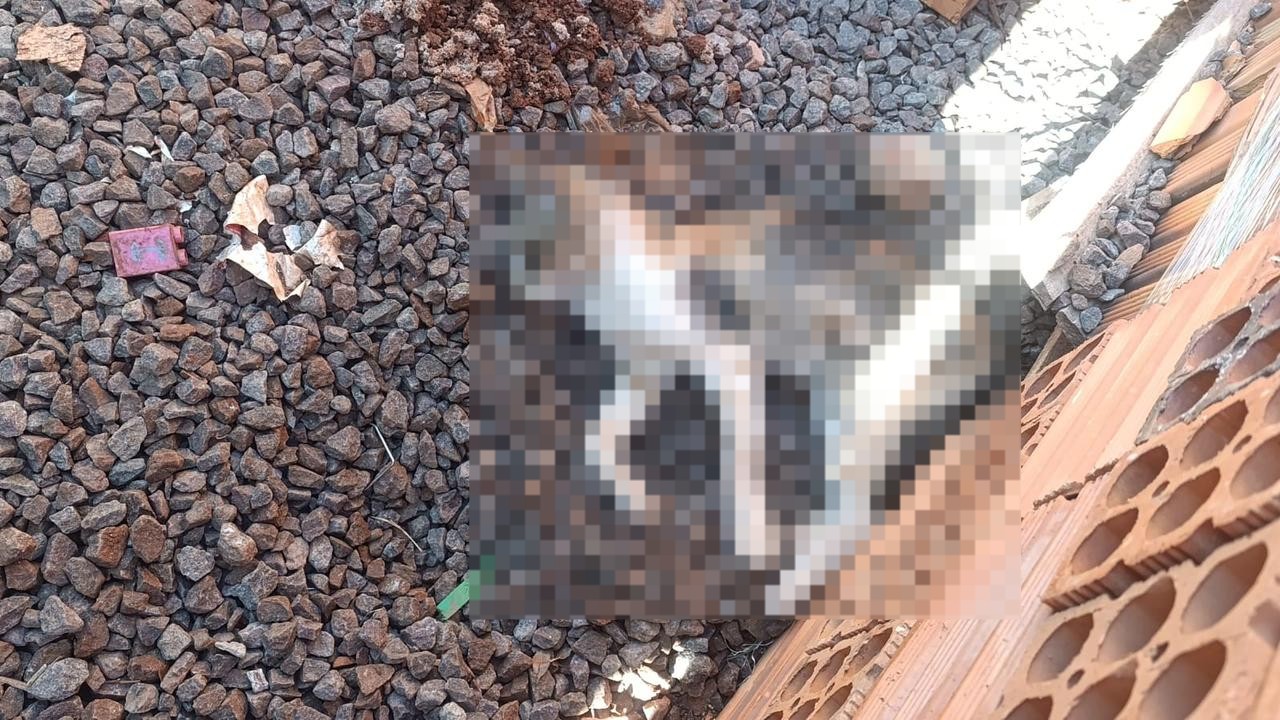 foto Not&iacute;cia Uruguaiana