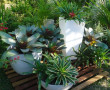 Espaço Verde